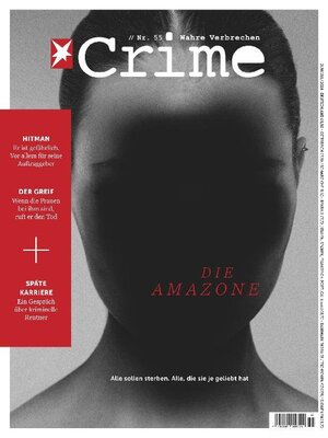 cover image of stern Crime
